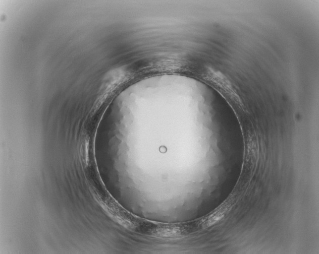 X0000060770110200511141307