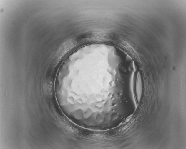 X0000060770111200511141307