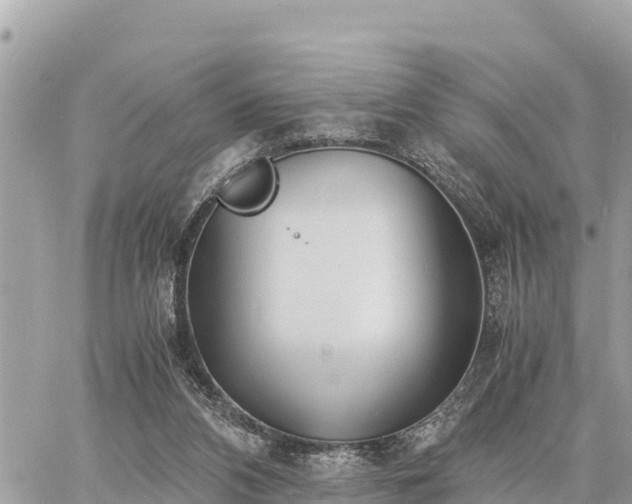 X0000060770112200511141307