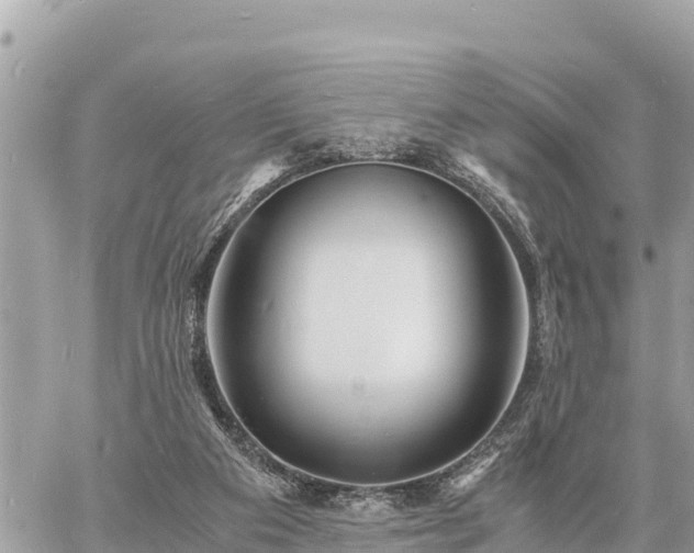 X0000060770113200511141307