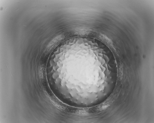 X0000060770114200511141307