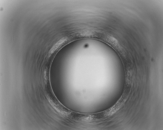 X0000060770116200511141307