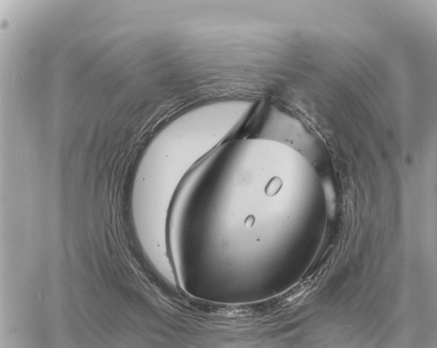 X0000060770117200511141307