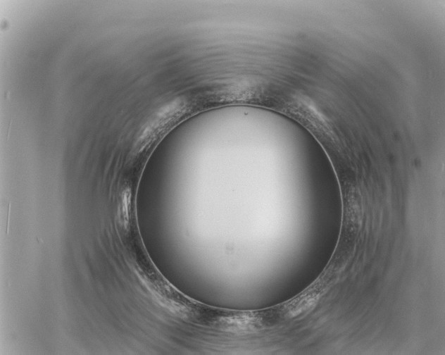 X0000060770118200511141307