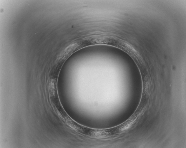 X0000060770121200511141307