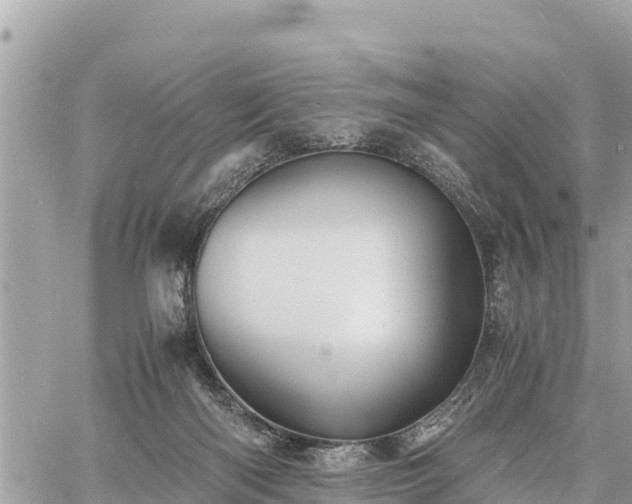 X0000060770122200511141307