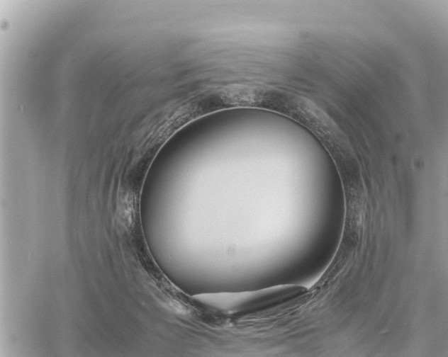 X0000060770125200511141307