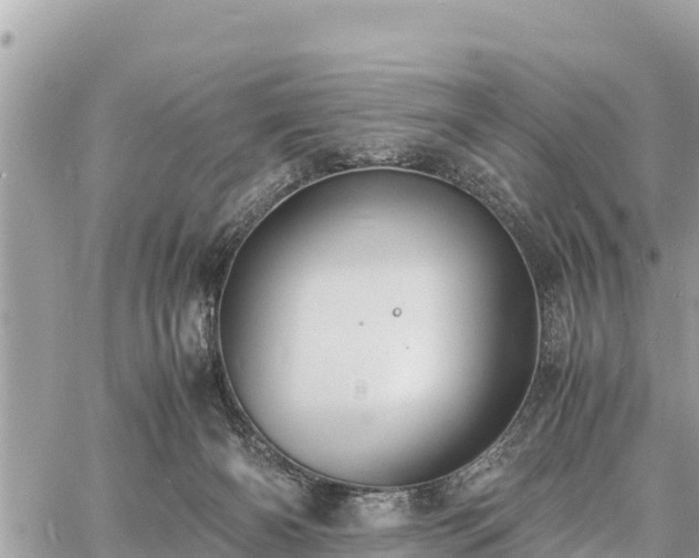 X0000060770126200511141307