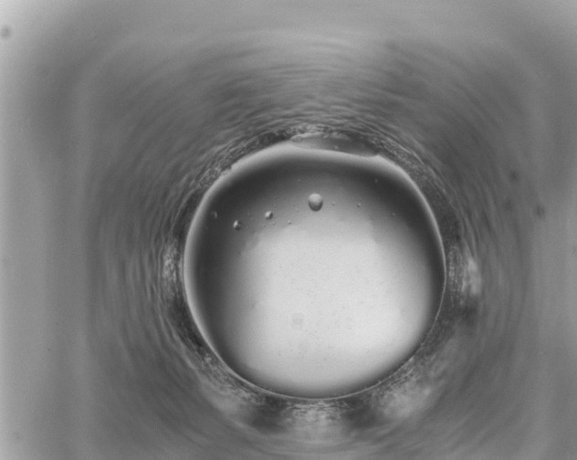 X0000060770127200511141307