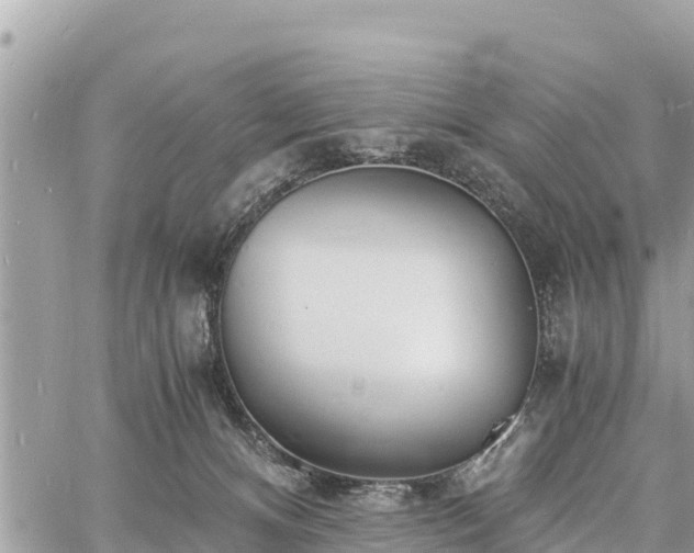 X0000060770128200511141307