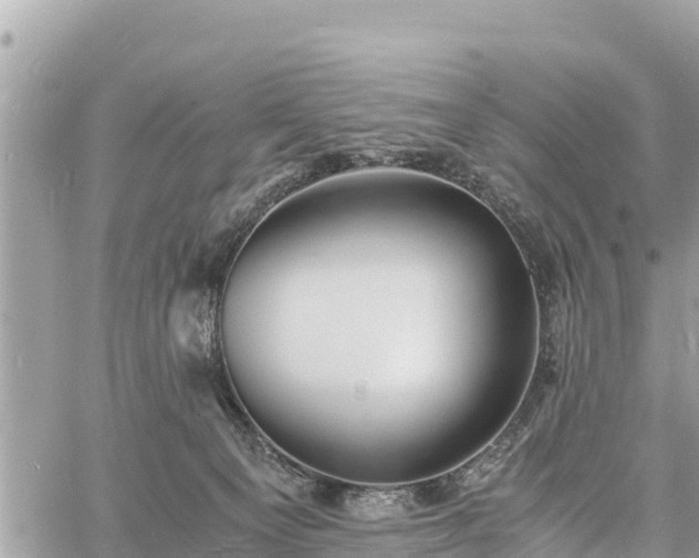 X0000060770129200511141307