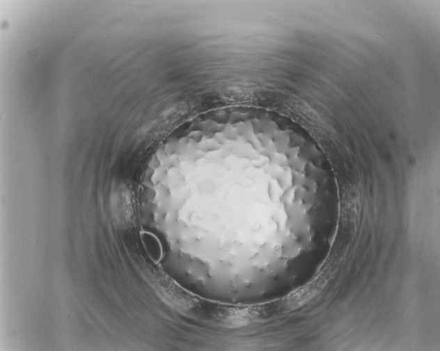 X0000060770130200511141307