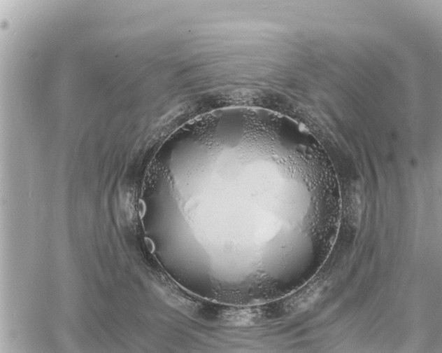 X0000060770131200511141307