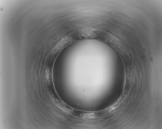 X0000060770132200511141307