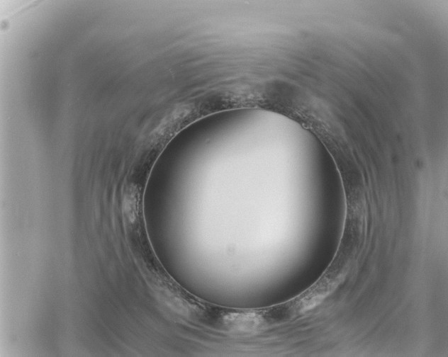 X0000060770133200511141307