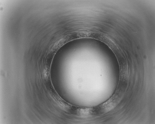 X0000060770134200511141307