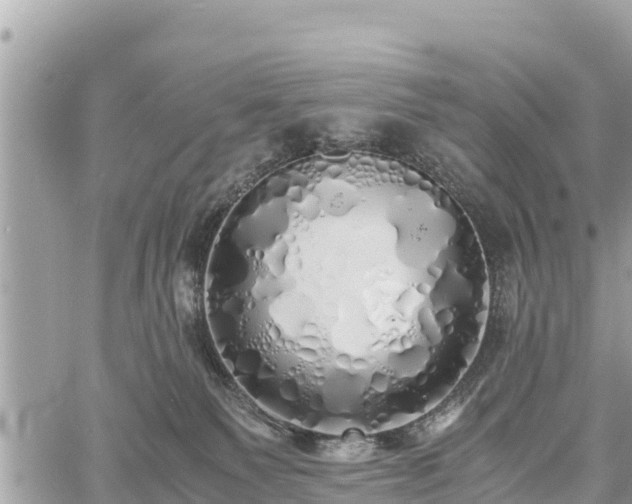 X0000060770135200511141307