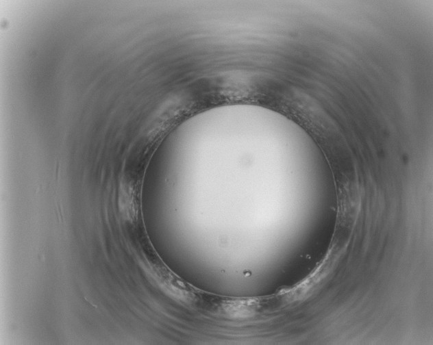 X0000060770136200511141307