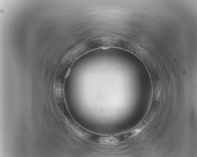 X0000060770137200511141307