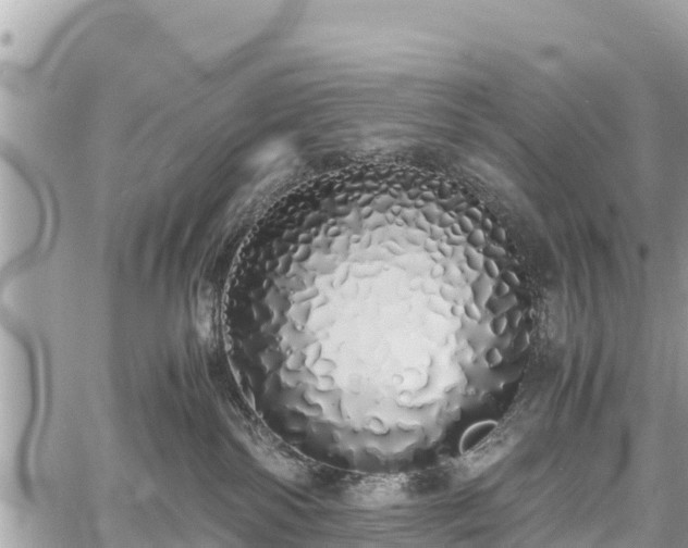 X0000060770138200511141307