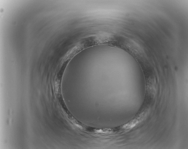 X0000060770139200511141307