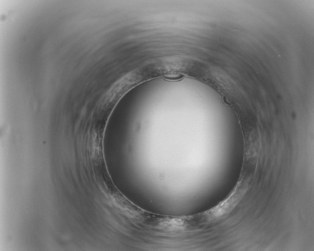 X0000060770140200511141307