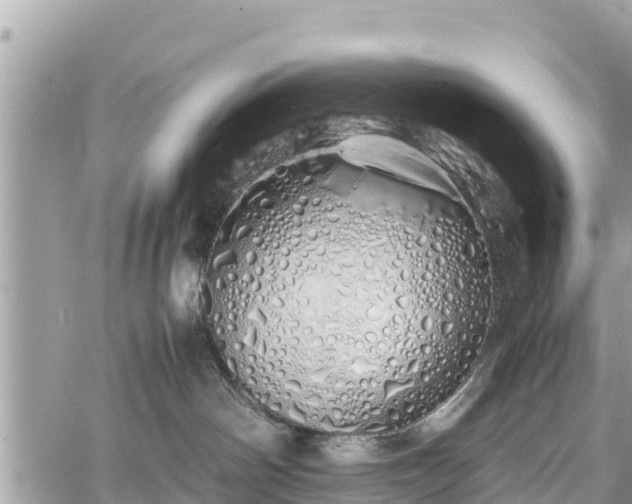 X0000060770142200511141307