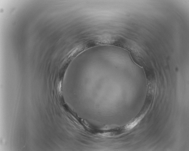 X0000060770143200511141307