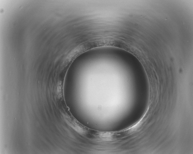 X0000060770144200511141307