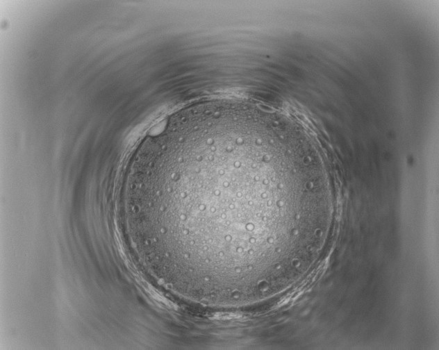 X0000060770145200511141306