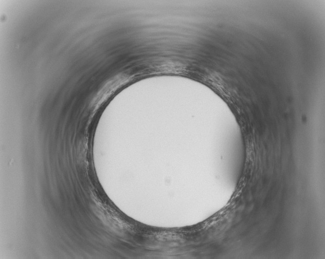 X0000060770146200511141306