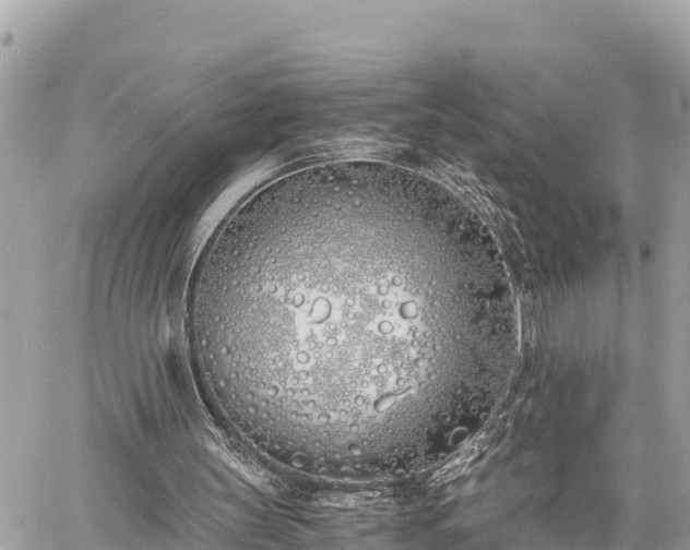 X0000060770147200511141306