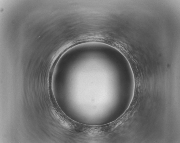 X0000060770148200511141306