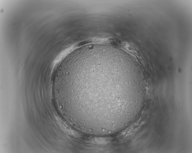 X0000060770149200511141306