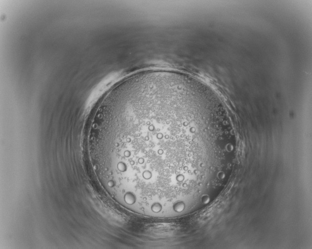 X0000060770151200511141306