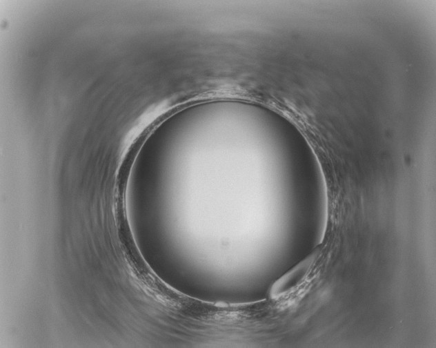 X0000060770152200511141306