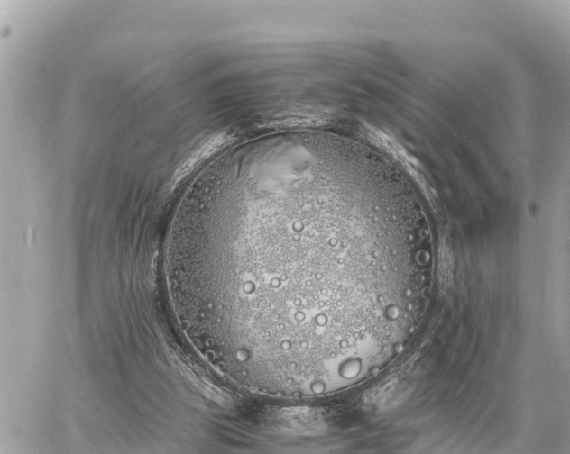 X0000060770153200511141306