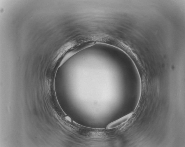 X0000060770154200511141306