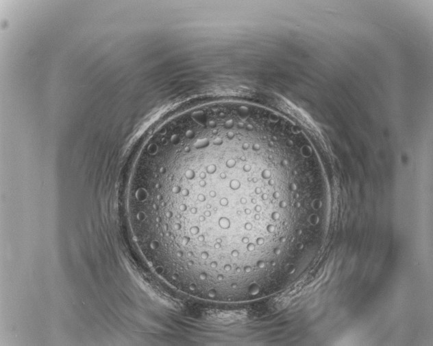 X0000060770155200511141306