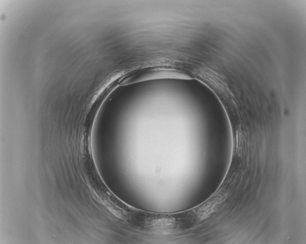 X0000060770156200511141306