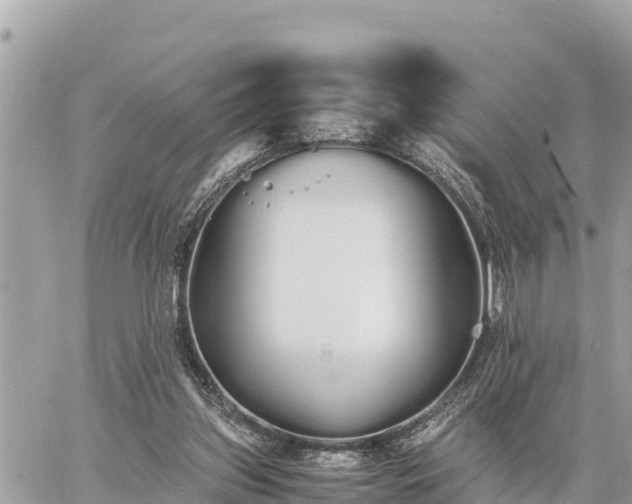 X0000060770157200511141306