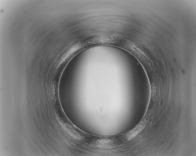 X0000060770158200511141306