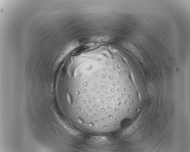 X0000060770159200511141306