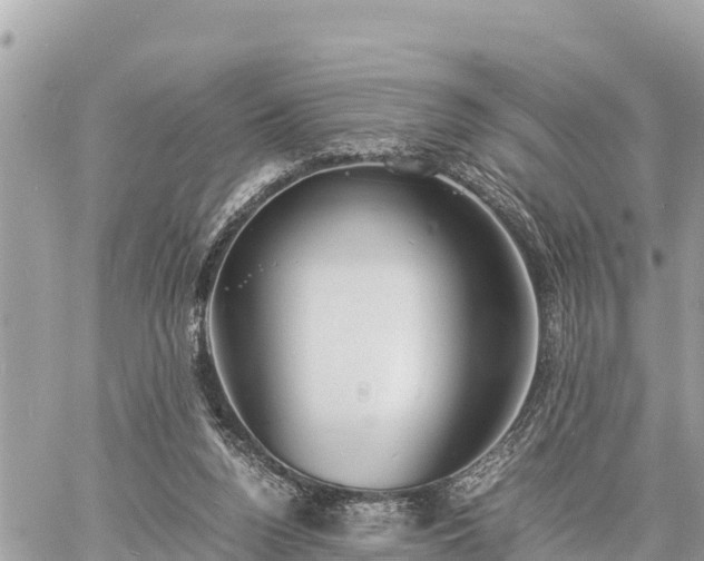 X0000060770160200511141306