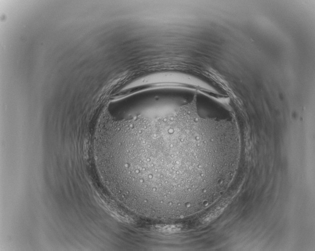 X0000060770161200511141306