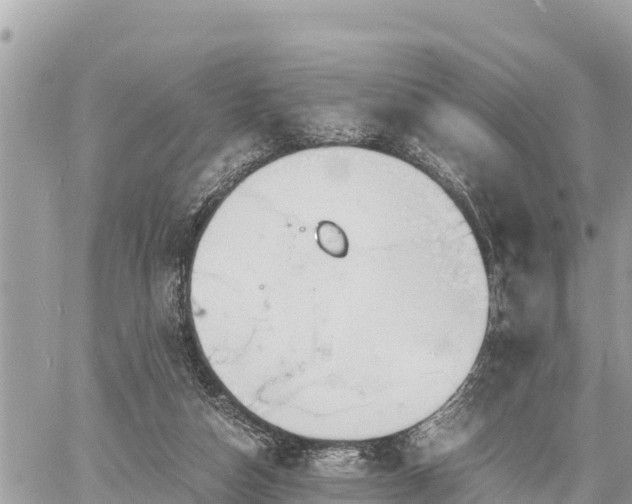 X0000060770162200511141306