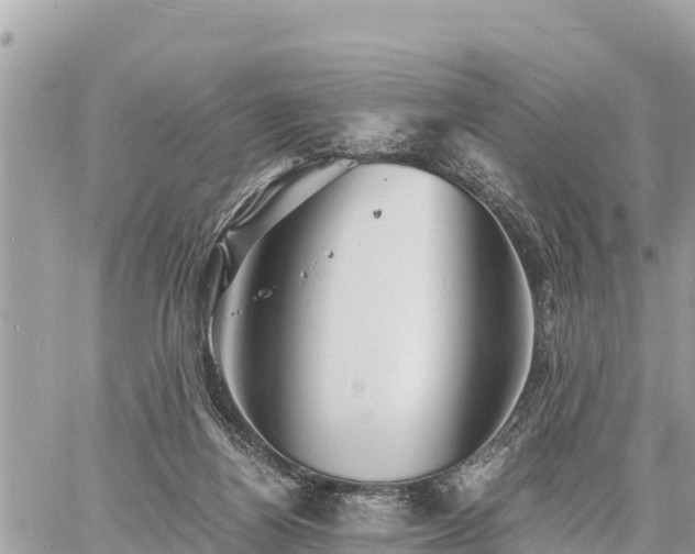 X0000060770164200511141306