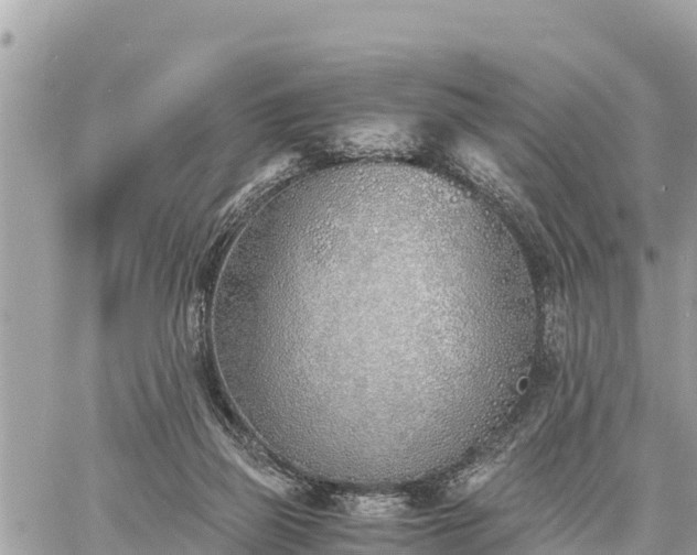 X0000060770165200511141306