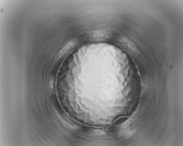 X0000060770166200511141306