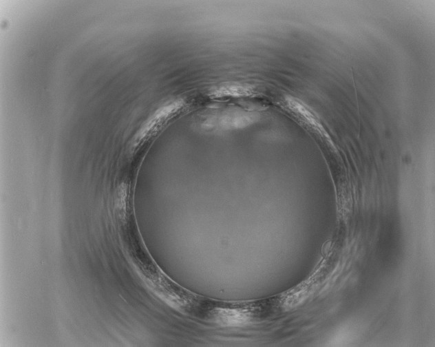 X0000060770167200511141306